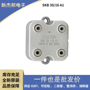 ��ԭ�b������ ��֏Ͷ��O��SKB30-16A1 SKB30-12A1�|������