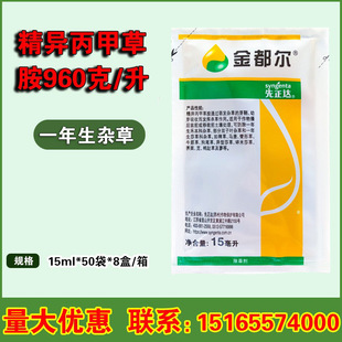 �����_ �𶼠� �������ײݰ� �̱��Ʒ��]���rș���݄� 15����