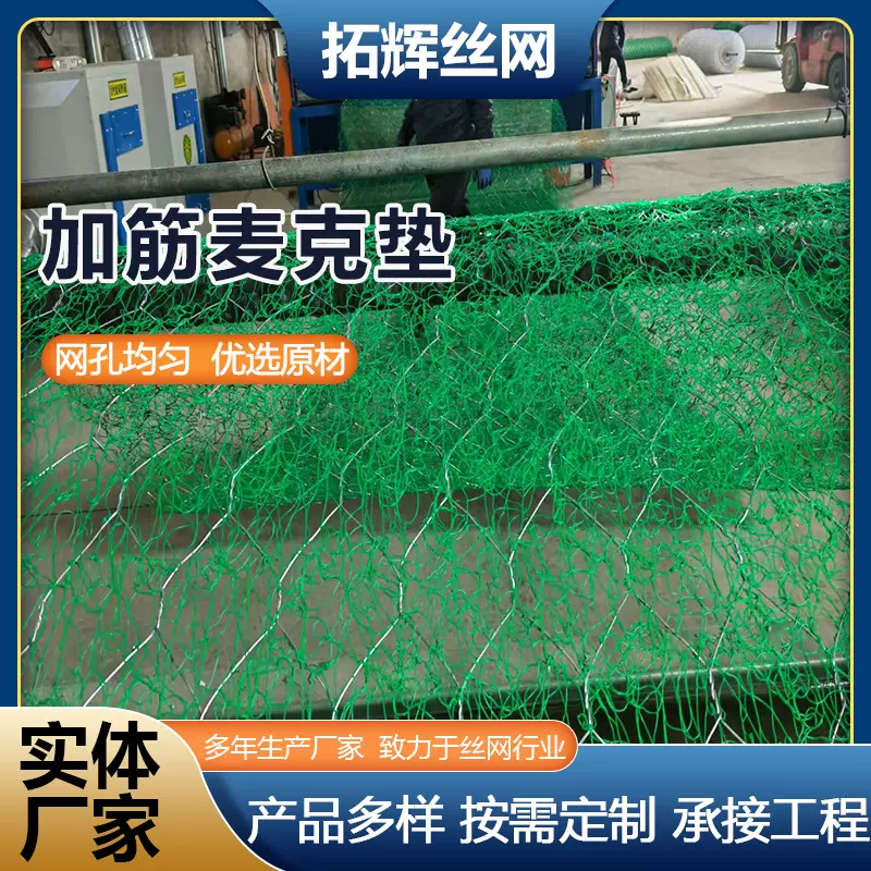 河道治理用加筋麦克垫边坡绿化植生垫固土植草土工加筋网垫格宾网