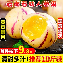 云南石林人参果10斤新鲜大果应季整箱人叁果水果七彩黄肉圆果包邮