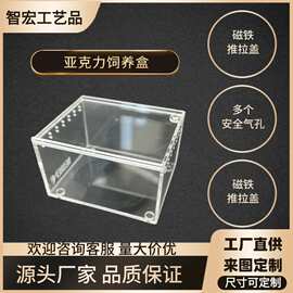 跨境亚克力透明塑料宠物创意爬宠盒子长方形饲养箱饲养盒高透明