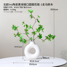 ����ƿ����Gֲ�R��ľ���R��ֲ��͏d�[�O�廨�ٻ����滨�b[��