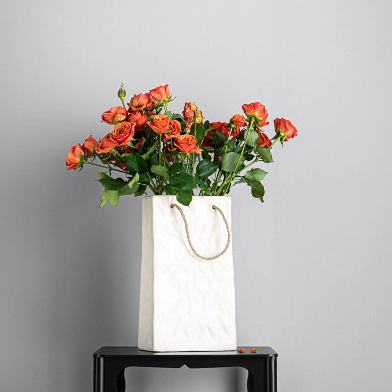 Creative Rope Backpack Ceramic Vase, High-end Floral Arrangement Desk Decor Ornament Cross-border Supply One-time Shipping