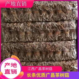 24��Ʒ�����V����乽��؛�a�؟��u�_���L�l���ѿ�10���b���㹽�