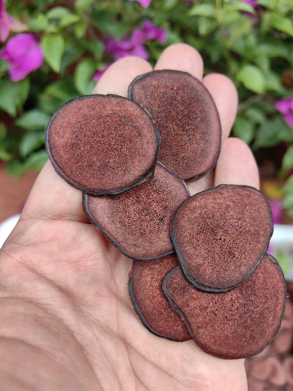 Deer Antler Blood Slices Lu Rong Xue Pian 50g Dried Slices for Soup and Wine Infusion specifications
