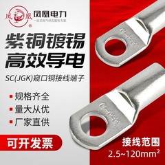 銅製端子紫銅鳳凰銅接続端子SC（JGK）10-240紫銅覗き穴銅線耳