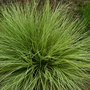 ����ݶ� �s�� �ݶ� ��Ƥ�� �b[��ֲ��С�� �����쾰�ٲݾGֲ