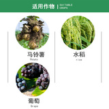 Немецкое органическое водорастворимое удобрение CompoKepke, удобрение для листьев из морских водорослей для увеличения скорости завязывания плодов, расширения плодов и укоренения, 10 мл