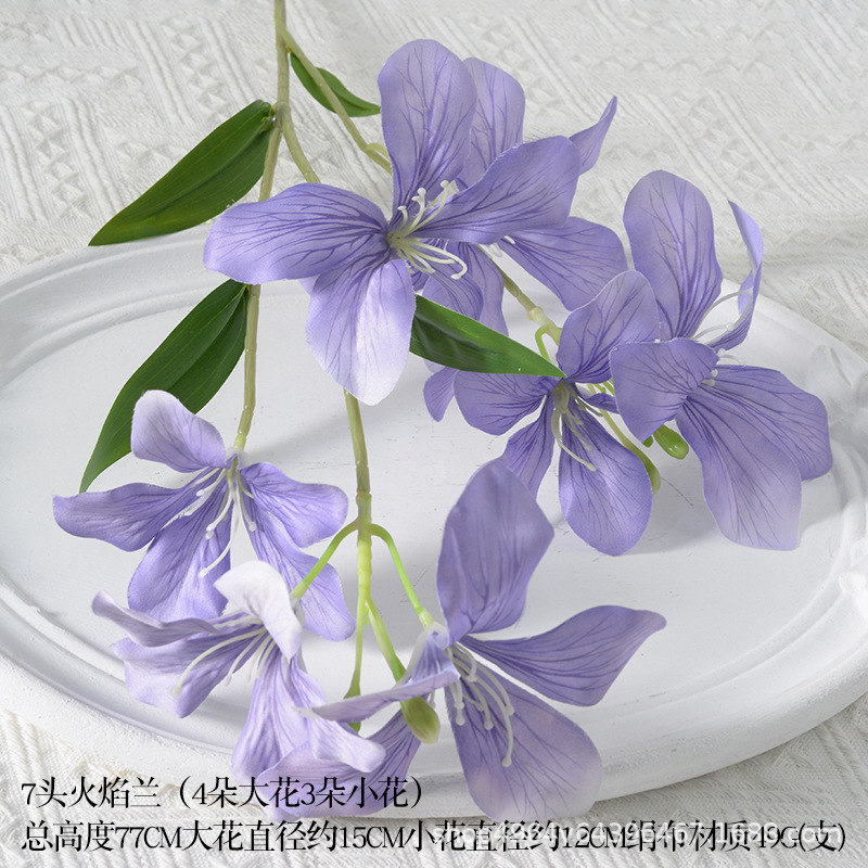 7-flame orchid deep purple