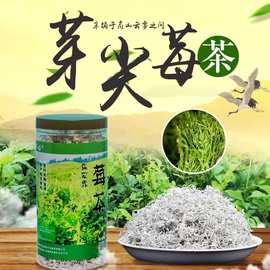 春头采张家界龙须莓茶手工干净清甜藤茶嫩芽回甘送礼送长辈批发