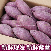 �������r10��ع��r���߲ˬF��ܛŴ����ɽ��tС������������