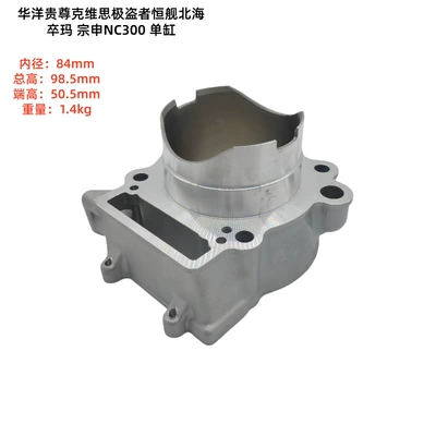 Beihai Zuoma Zongshen Nc300 – Cylinder and parts