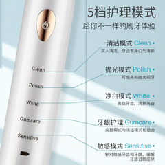 Manufacturer Wholesale Soft Bristle Toothbrush Water Flosser Charging Model Fully Automatic Adult and Child Universal Electric Toothbrush Ultrasonic
