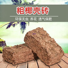 �M��Ҭ�u�����m�I�B���m�����w��Ҭ���uҬ�������|�ķN���N�˻��|