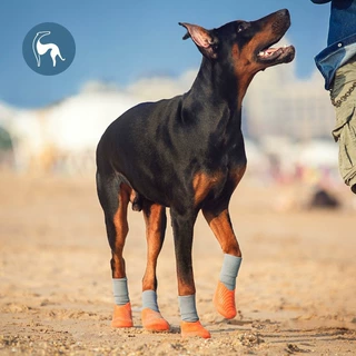 防水运动鞋狗狗鞋子防水防滑小中型犬狗狗鞋防水防滑耐磨宠物鞋