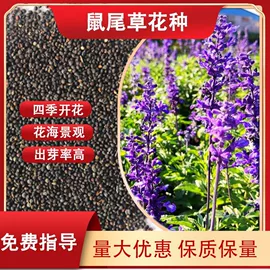林业副产品;一二年生花卉;其他园林植物