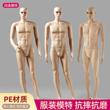 �wɫ��ģ�ط��b�ꙻ��ģ�ص������b����չʾ�͵������wģ�ؼ���