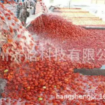 番茄汁设备,番茄丁罐头生产设备,番茄酱生产线,番茄干机器