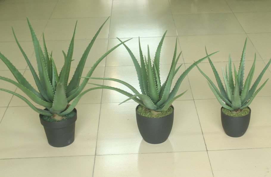 f0bf33ad7962f3f630261b8a54e8d5