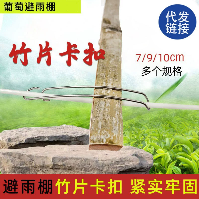 Теплица Бамбук Зажим Бамбук Держатель Виноградный Дождь Навес Бамбуковый Зажим Аксессуары Провода Нержавеющей Стали Аксессуары Для Укрытия От Дождя