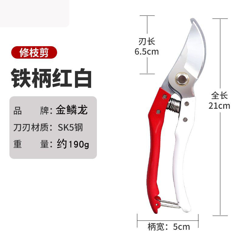 Tijeras de podar, tijeras de jardinería, tijeras de cuchillo, tijeras especiales para ramas, tijeras de jardín, tijeras de corte de flores de poda de árboles frutales