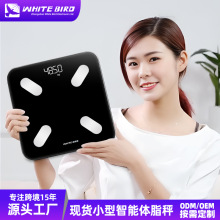 体重秤称体重家用体脂秤充电款减肥专用智能人体秤高精准电子秤