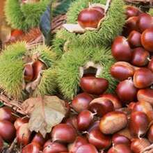 �������r�������|�����r���خa�߲����r����������������ˮ�����r