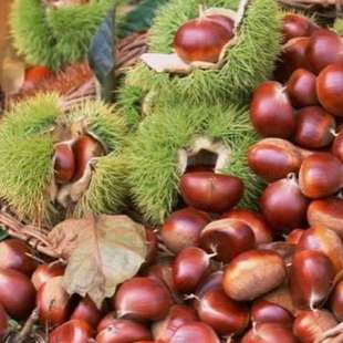 �������r�������|�����r���خa�߲����r����������������ˮ�����r