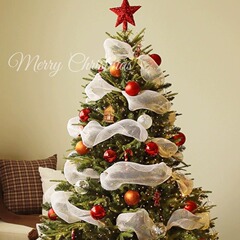 プラスチック網糸漁網糸クリスマスリボンクリスマスツリー欧米風装飾網帯ネット赤精品リボンリボンリボン