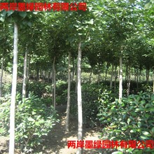 ۰Ϟ ̩Ϟ6 ֱͨ   ֱN