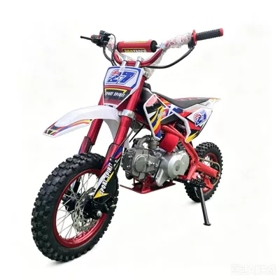 Motorcycle, Adult Mini, Motosikletlər