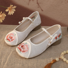 �����¿����m���y��ЬŮЬ������ȹ��ЬС���L�h��Ь�赸Ь����Ь