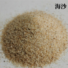 现货批发海沙圆粒沙儿童娱乐沙鱼缸造景海砂人造沙滩无尘水洗沙子