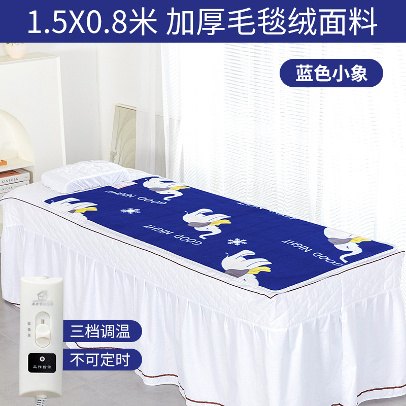 美容ベッド電気毛布シングル美容院専用マッサージベッド小型家庭用ソファーの上の小さいサイズの電気布団