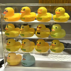 送料無料小さな黄色いアヒルの収納ボックスディスプレイスタンド透明積み重ね可能なドア防塵デスクトップかわいい人形収納ボックス