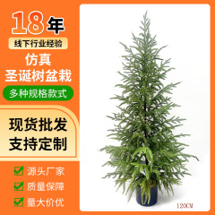 Amazonベストセラー模擬クリスマスツリー緑植物人工ノーフォーク松模擬感触松葉ツリー鉢植え造園