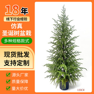 Amazon's Best-Selling Simulated Christmas Tree Green Plant Artificial Norfolk Pine Simulated Pine Needle Tree Potted Landscaping