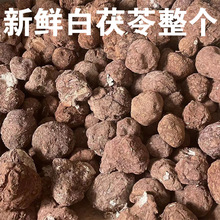 ������r��������1000g��Ƥ������ș�Ŀ���Ƭ������Ƭ