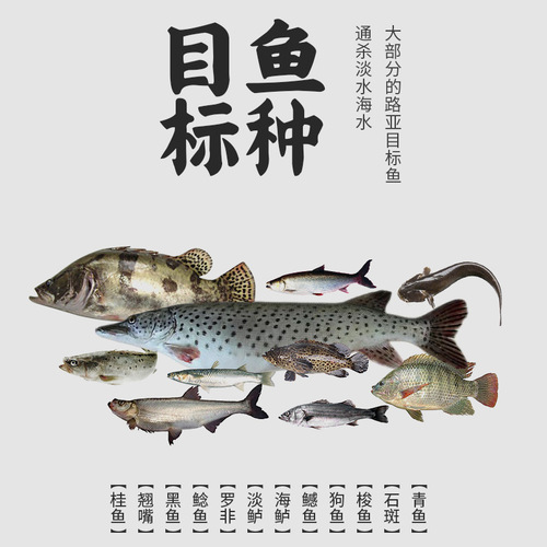 Pool edge cross-border Lure bait multi-section fish hard bait Lure simulated fishing bait fake bait bass bionic fake fishing bait wholesale