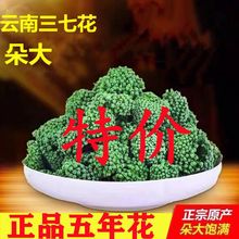 ������߻��贺�»��������߻��ݲ�