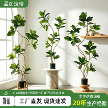 仿真绿植孟加拉榕室内大型装饰盆栽落地摆件高级感仿生植物假树