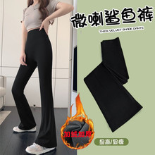 秋冬薄绒微喇鲨鱼裤爆款休闲喇叭裤子外穿紧身收腹黑马蹄打底裤女