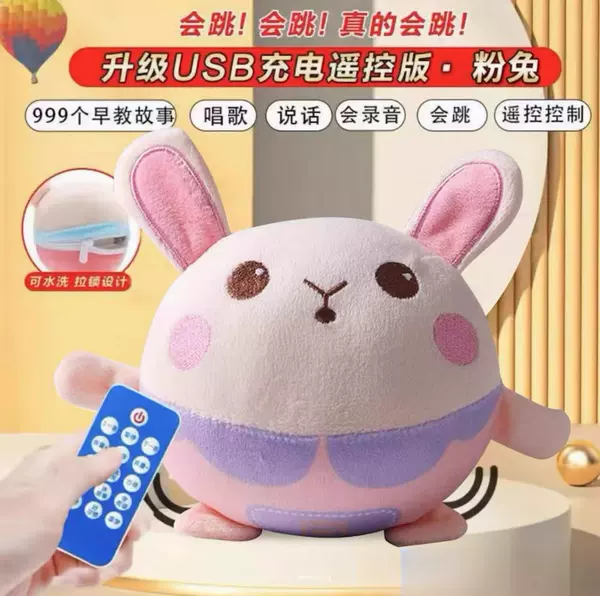 Rabbit, charging cable, remote control