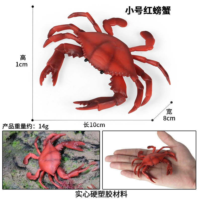 Когнитивная реалистичная модель морского животного, минифигурка, игрушка