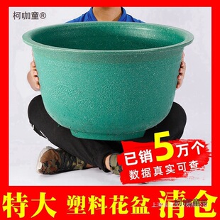 ����N�����̖�F��������ϴ����ش���l��Ӻ�ͥԺ���]��̫��