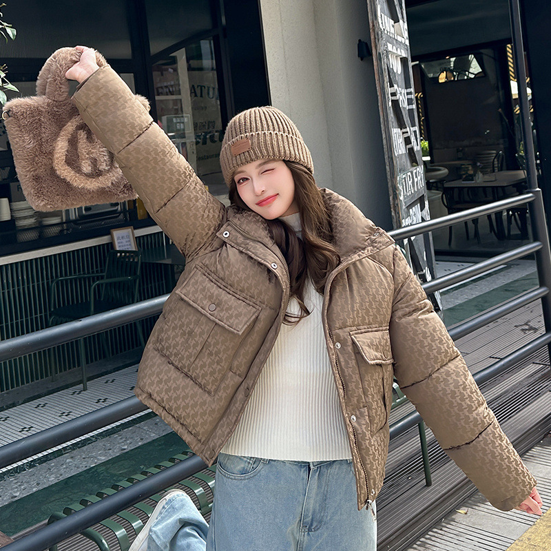 2025 chaqueta de algodón encapuchada ropa de algodón de mujer nuevo corto invierno estilo coreano de gran tamaño grueso chaqueta de algodón de cuello vertical chaqueta de moda image 7