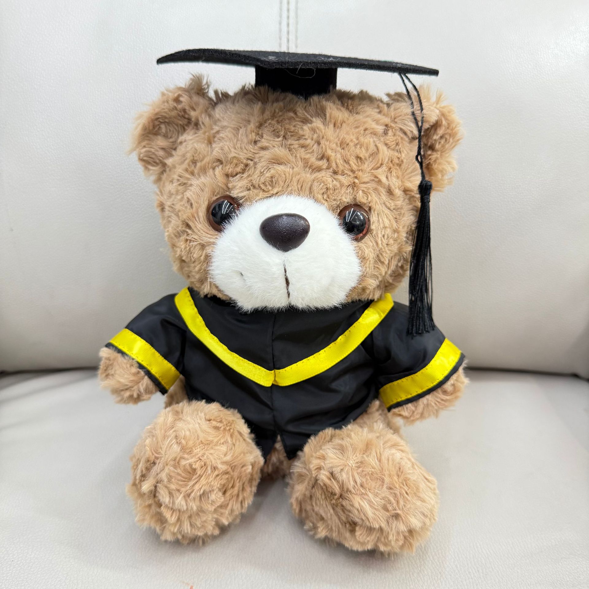 Graduación Teddy Bear Puppy Doctor Teddy Bear School Print logotipo regalo de graduación