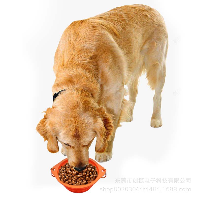 Tazón para mascotas Tazón plegable de silicona portátil Tazón para perros Agua potable al aire libre Tazón de arroz Comida para perros Tazón para perros de doble oreja Tazón para gatos