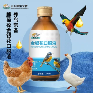 金银花植物饮草本饮品OEM代加工贴牌实力厂家山东庆葆堂