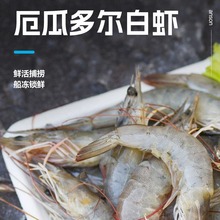 40-50盐冻净重3.3斤厄瓜多尔白虾对虾海捕虾海虾青岛大虾包邮海鲜